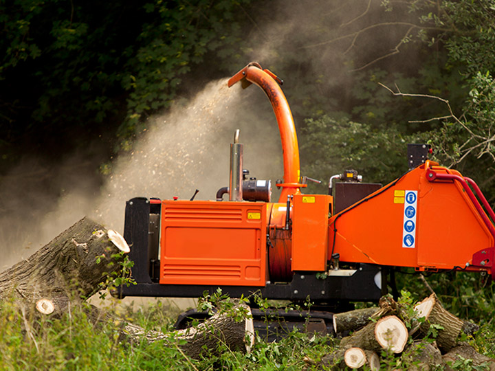 สนามหญ้าและสวน